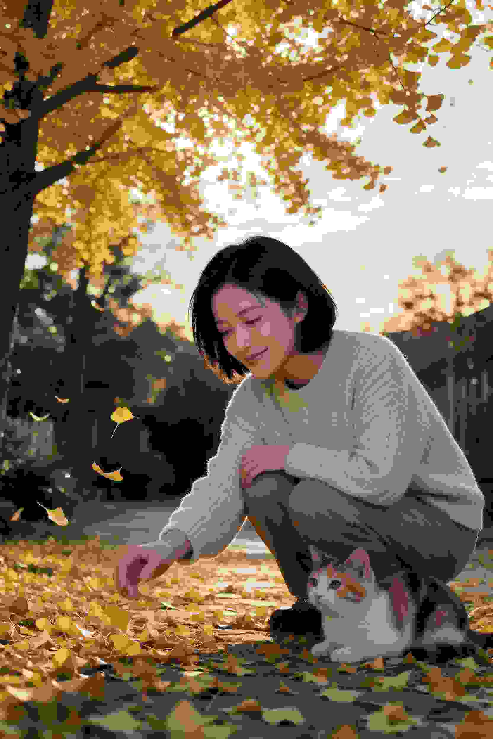 小镇咖啡馆故事